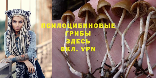 ALPHA-PVP Куйбышев