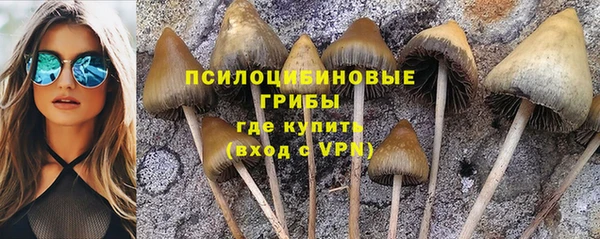 ALPHA-PVP Куйбышев