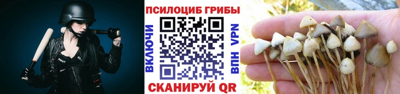 Псилоцибиновые грибы мухоморы  hydra сайт  Салехард 